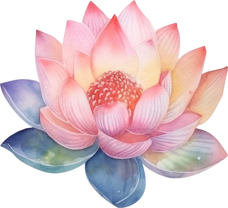 Lotus Flower Watercolor Illustration